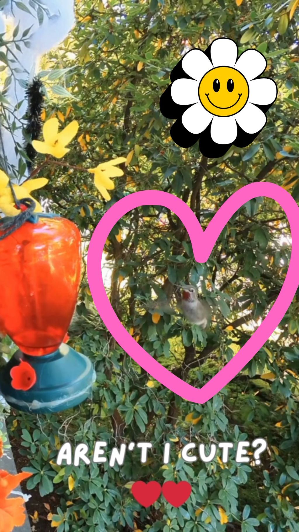 Coffee & Crafts with My Hummingbird&nbsp;Friends